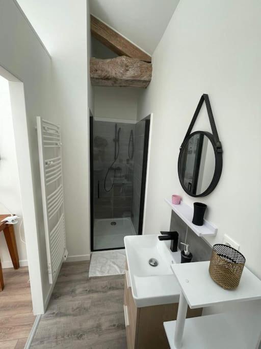 Maison Les Iris - 3 Chambres Et 3 Salles De Bain - 3 A 6 Personnes - Futuroscope 阿瓦同 外观 照片